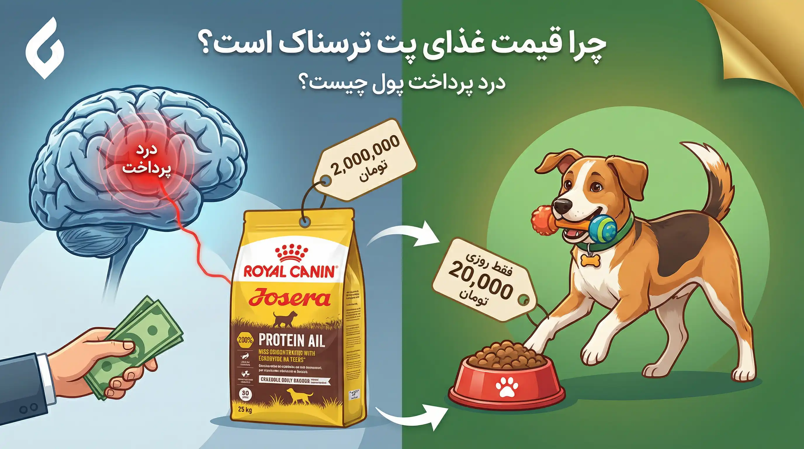 biziloc-The effect of money pain on pet shop sales-تصویر