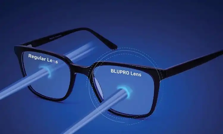 جلد-عینک-عمده-بلوکات