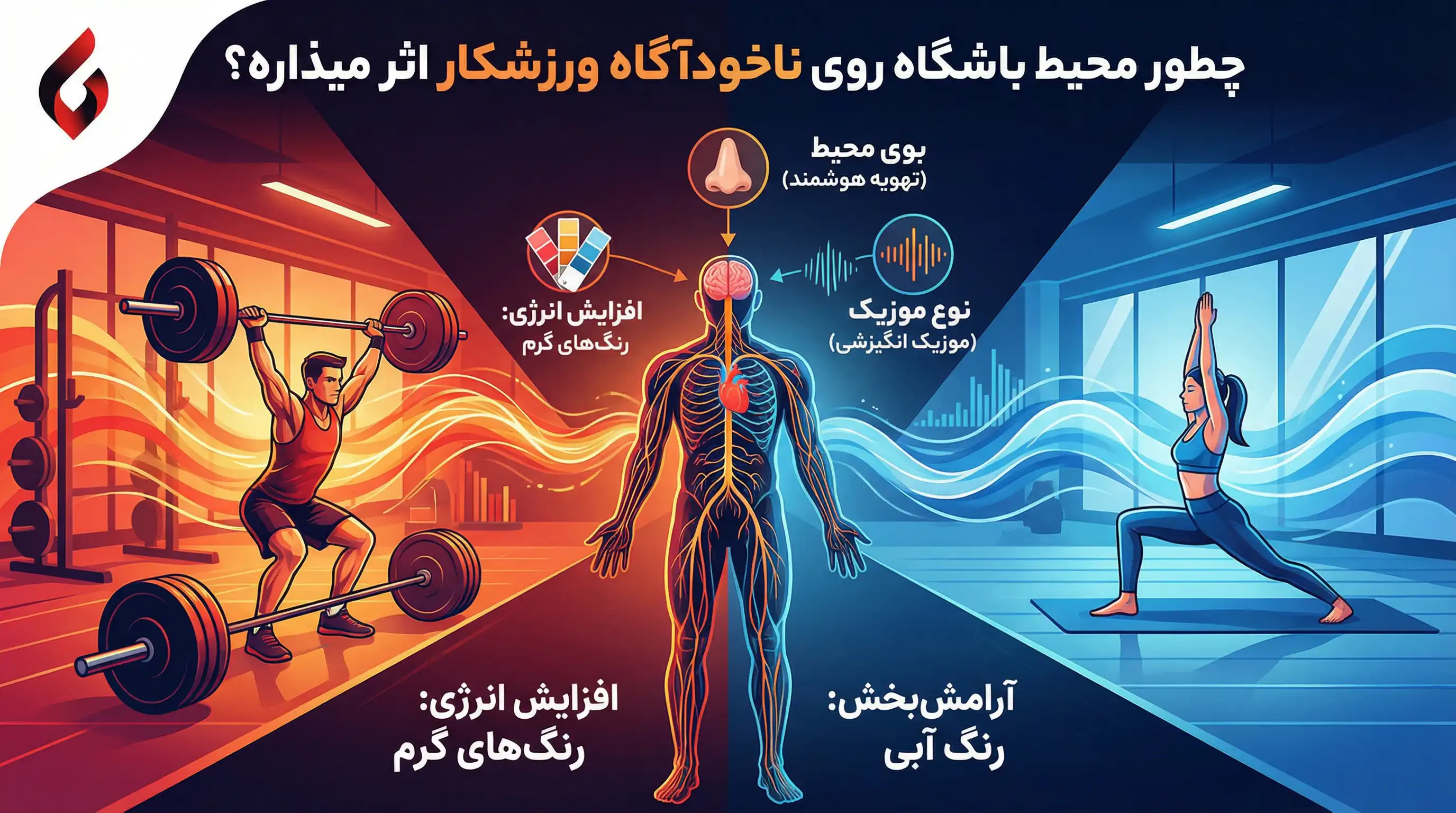 تبلیغات باشگاه بدنسازی و سالن ورزشی